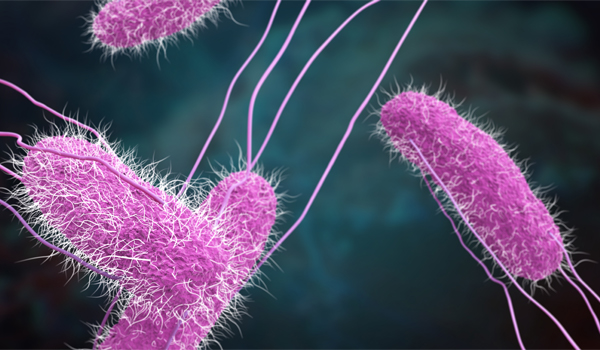 Microbiología e Infecciones